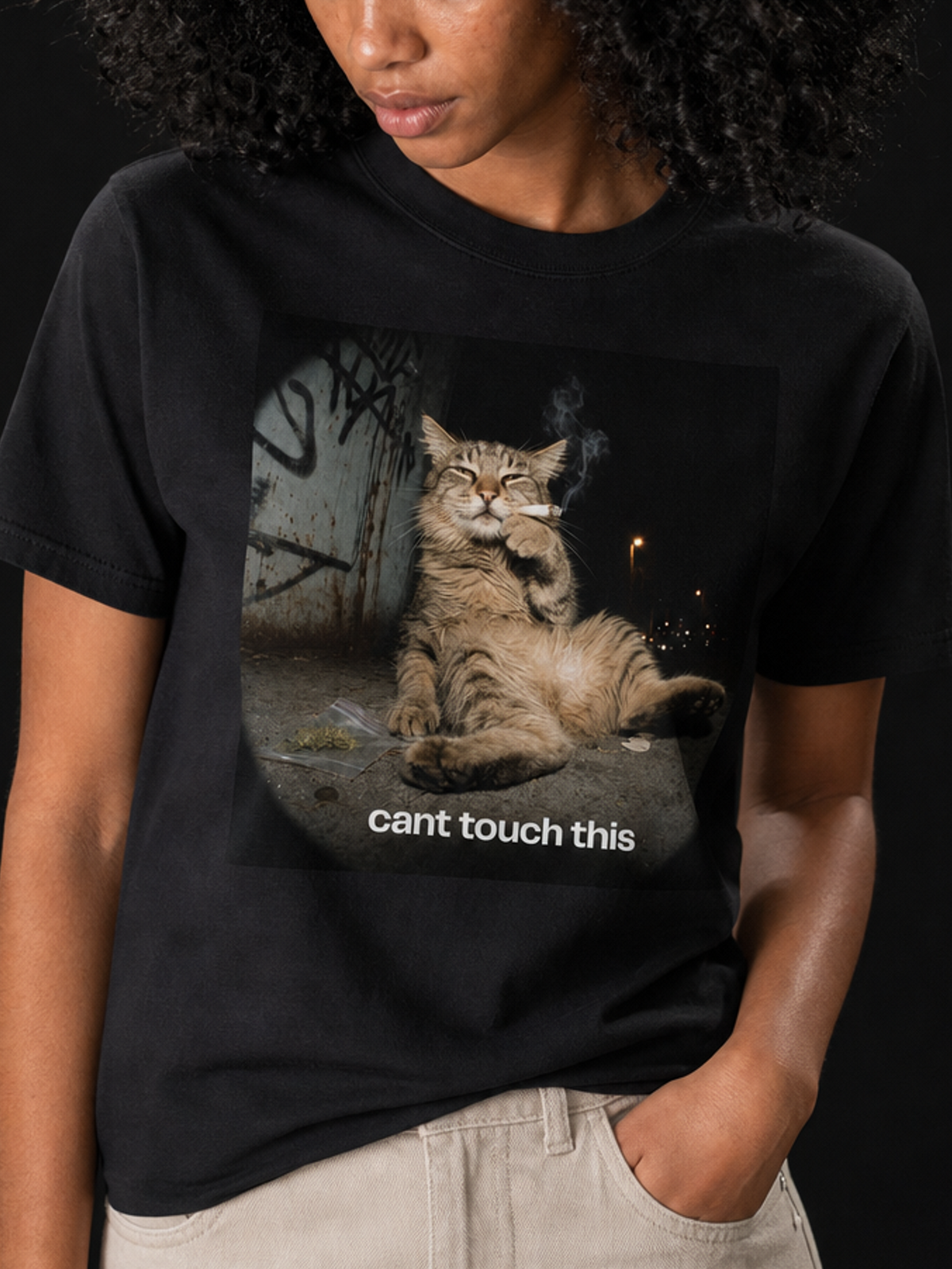 Cant Touch This-Dame Premium T-Skjorte