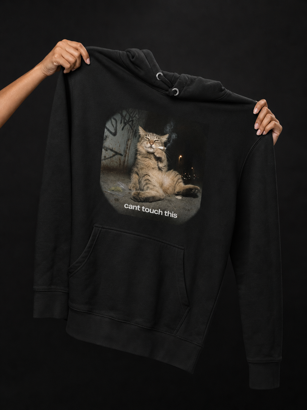 Cant Touch This-Dame Premium Hettegenser